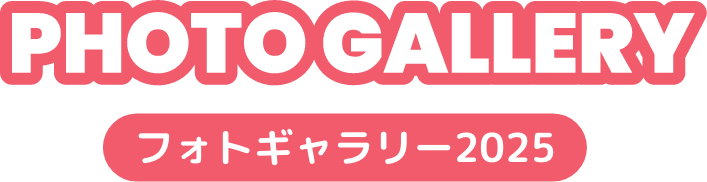 フォトギャラリー
